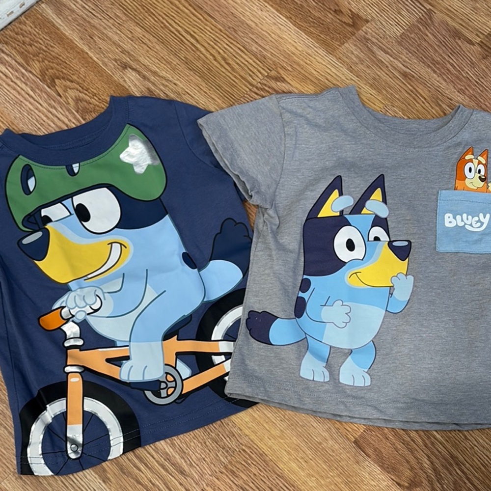 Bluey Graphic T-Shirts Set